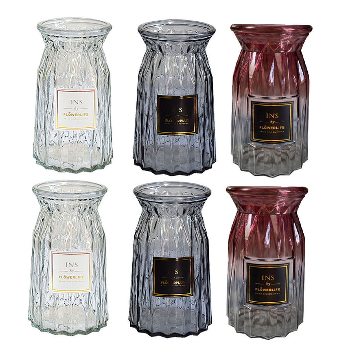 2 Pcs Glass Vases for Hydroponic Flowers