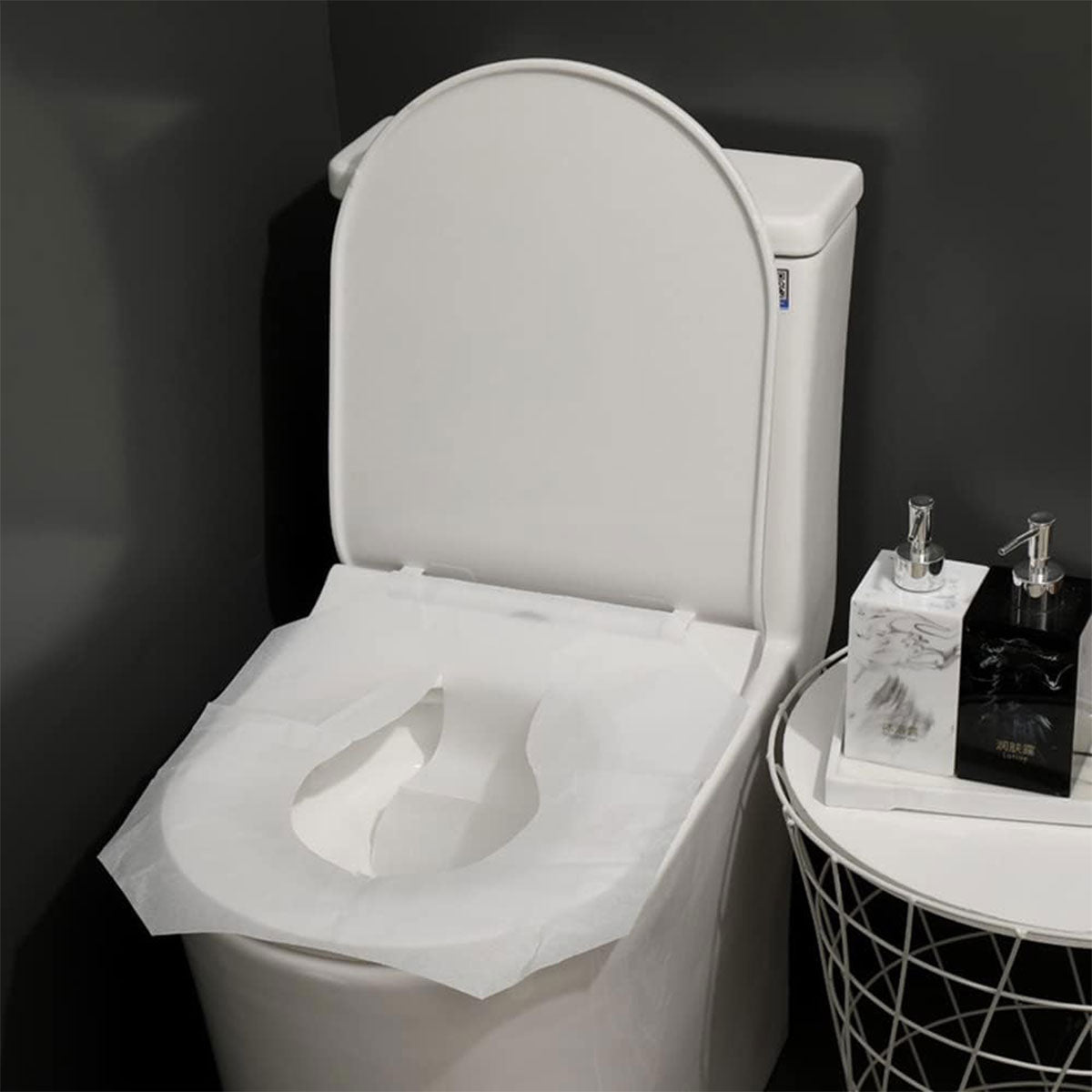 2 Packs Disposable Toilet Seat Covers 250pcs Soluble Paper