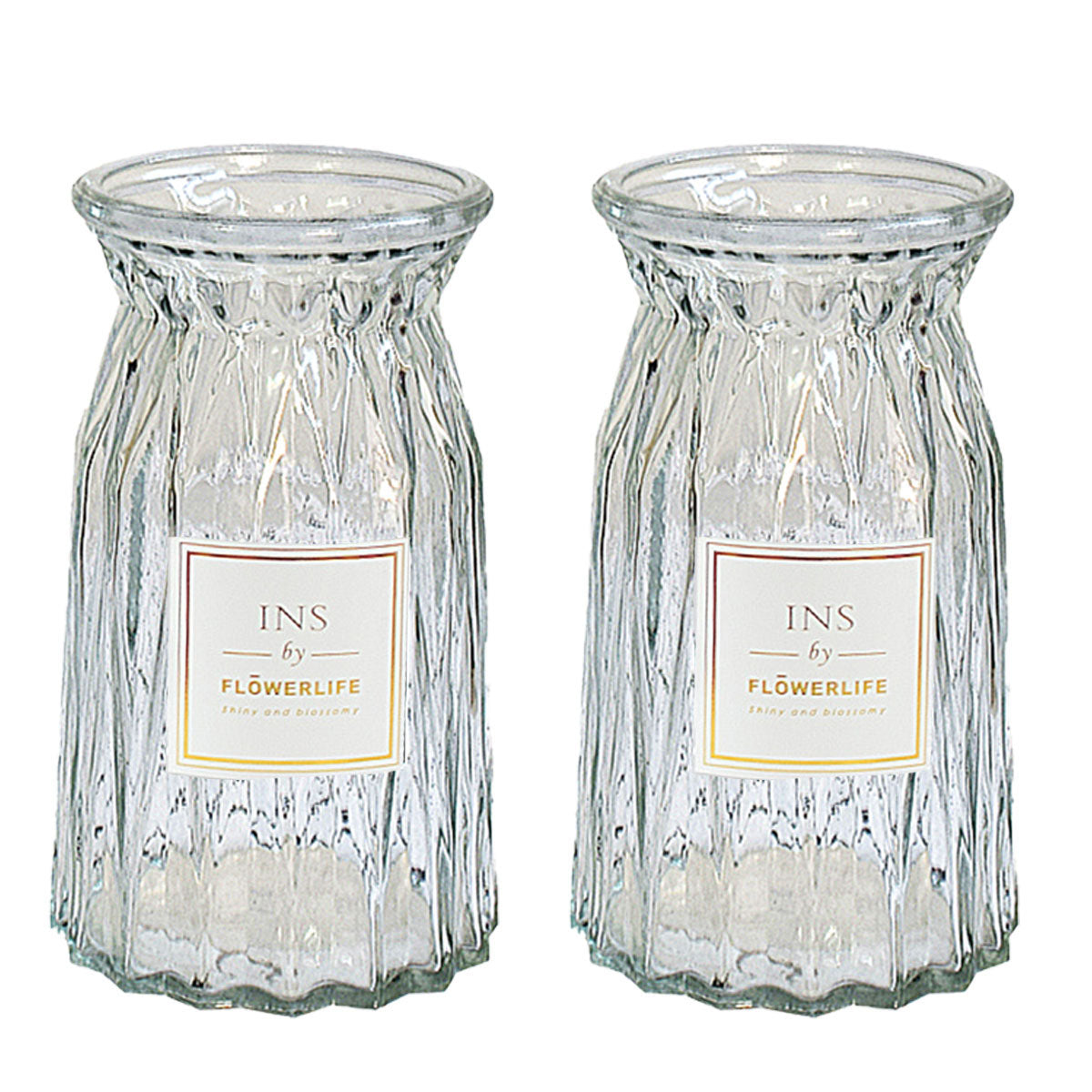 2 Pcs Glass Vase Hydroponic Flower Arrangement Vase for Living Room Decoration