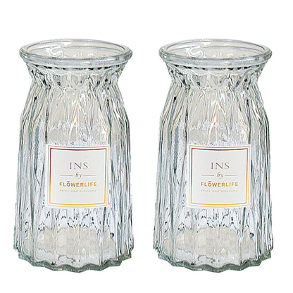 2 Pcs Glass Vase Hydroponic Flower Arrangement Vase for Living Room Decoration