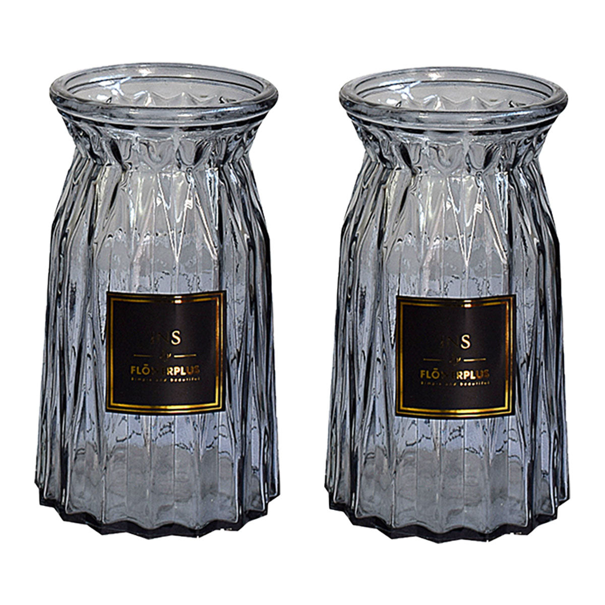 2 Pcs Glass Vase Hydroponic Flower Arrangement Vase for Living Room Decoration