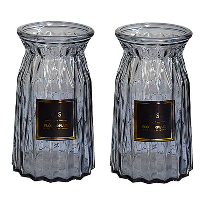 2 Pcs Glass Vase Hydroponic Flower Arrangement Vase for Living Room Decoration