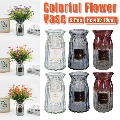 2 Pcs Glass Vase Hydroponic Flower Arrangement Vase for Living Room Decoration