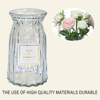 2 Pcs Glass Vase Hydroponic Flower Arrangement Vase for Living Room Decoration