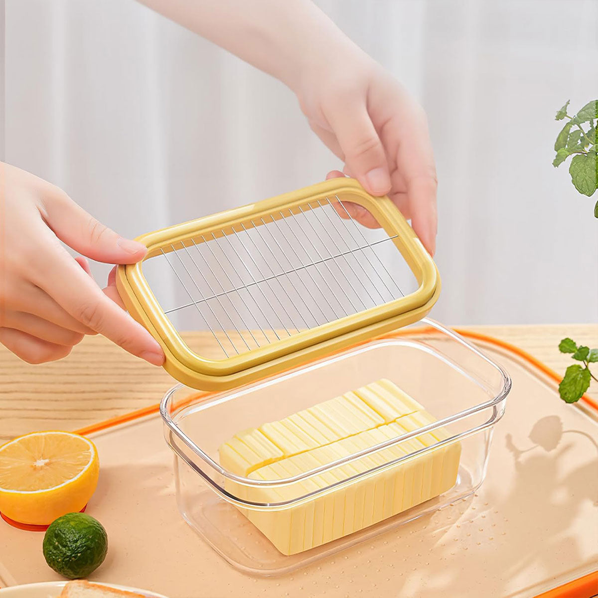 Butter Cutter Box with Lid Cheese Slicer and Storage Dish