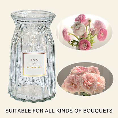 2 Pcs Glass Vase Hydroponic Flower Arrangement Vase for Living Room Decoration