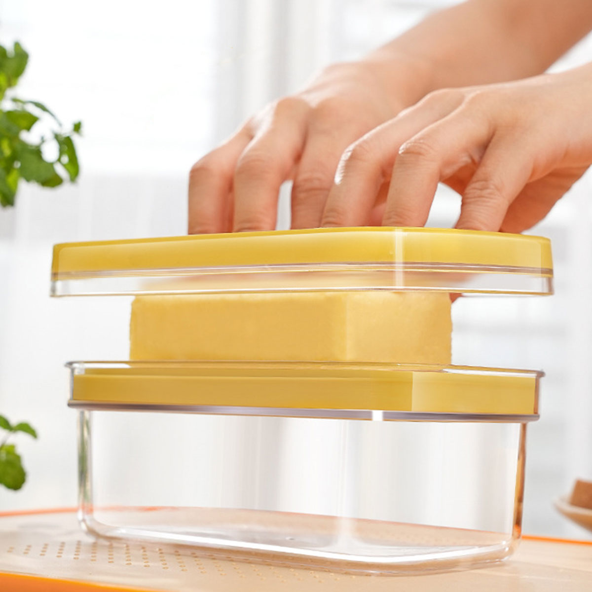 Butter Cutter Box with Lid Cheese Slicer and Storage Dish
