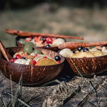 Natural Coconut Shell Bowl and Wooden Spoon Set, 2 Sets