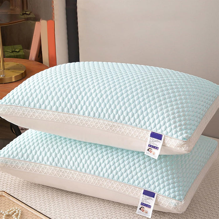 2 Pcs Bed Pillows with 74x48cm Dimensions