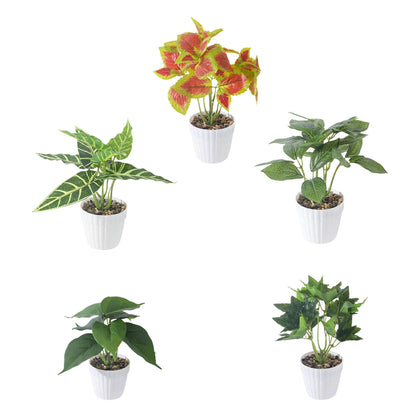 Artificial Small Potted Plant Decoration Faux Bonsai Greenery Indoor Home Decor