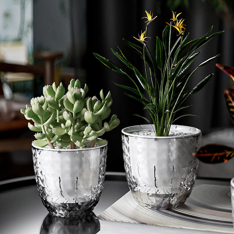 2pcs Transparent Self Watering Flowerpot Automatic Absorbent Planter Storage