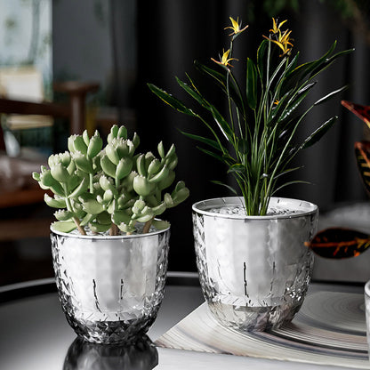 2pcs Transparent Self Watering Flowerpot Automatic Absorbent Planter Storage