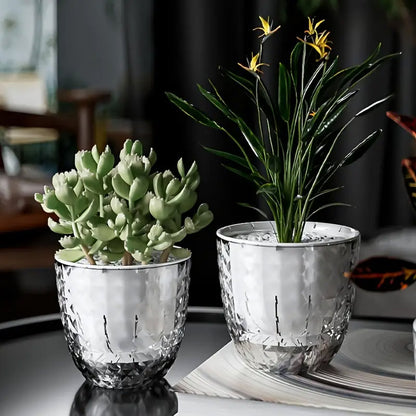 2pcs Transparent Self Watering Flowerpot Automatic Absorbent Planter Storage