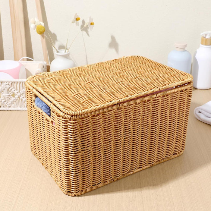 Faux Rattan Woven Storage Box for Bedrooms