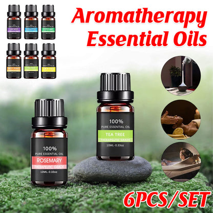 Essential Oil Set 6 Bottles Plant Aromatherapy Oils Natural Scent for Diffuser