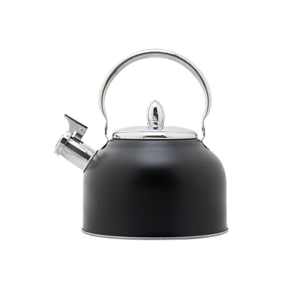 Stainless Steel Whistling Kettle with Foldable Handle for Home Kitchen