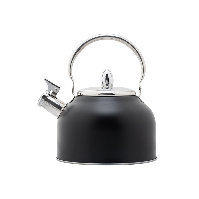 Steel Whistling Kettle with Foldable Handle