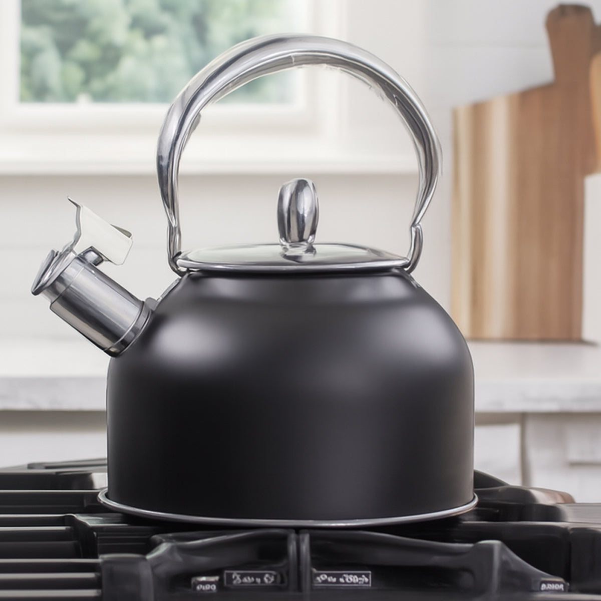 Stainless Steel Whistling Kettle with Foldable Handle for Home Kitchen
