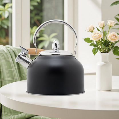 Stainless Steel Whistling Kettle with Foldable Handle for Home Kitchen