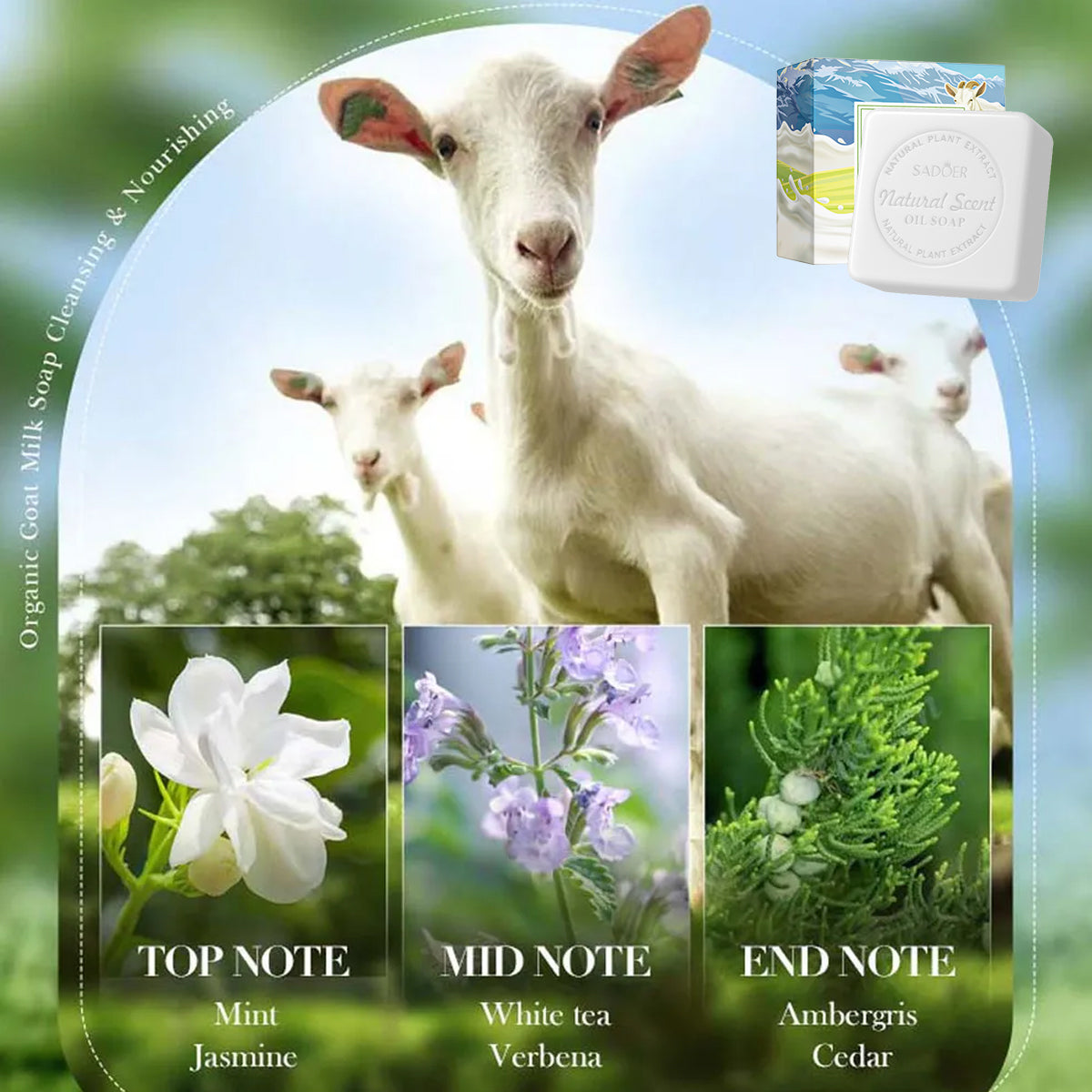 5 Pcs Guest Soap Bars in 2 Scent Options – Product View 5