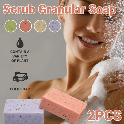 Seaweed Exfoliating Body Soap Bar 2pcs Botanical Scrub Cleanser