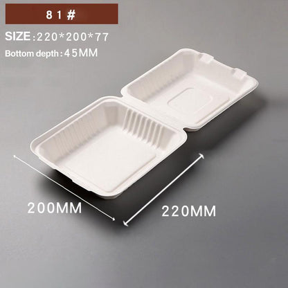 Sugarcane Clamshell Food Boxes in Bulk Packs – Product View 3