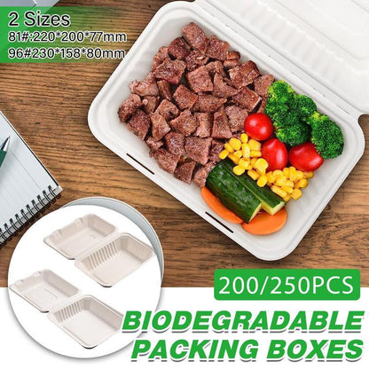 Sugarcane Clamshell Food Boxes in Bulk Packs – Product View 2