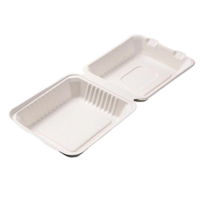 Sugarcane Clamshell Food Boxes in Bulk Packs – Product View 14
