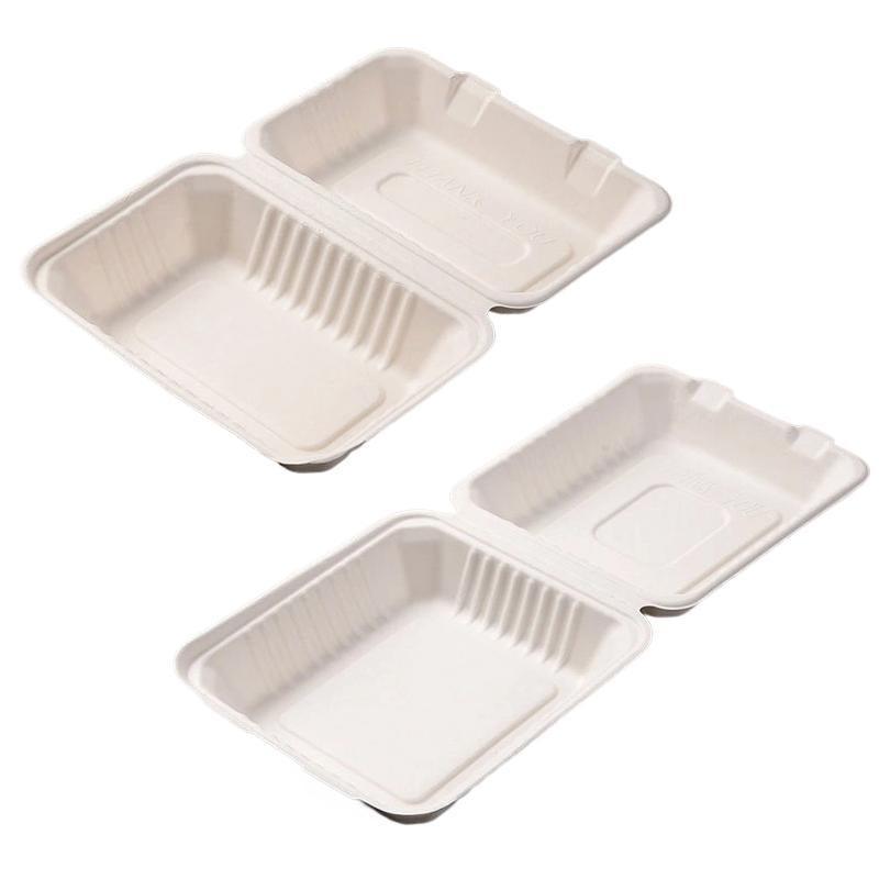 Sugarcane Clamshell Food Boxes in Bulk Packs