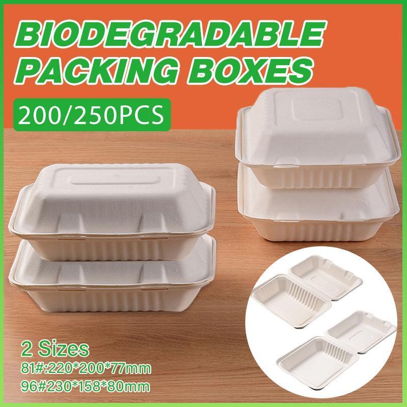 Sugarcane Clamshell Food Boxes in Bulk Packs – Product View 12