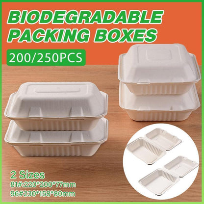 Sugarcane Clamshell Food Boxes in Bulk Packs – Product View 12
