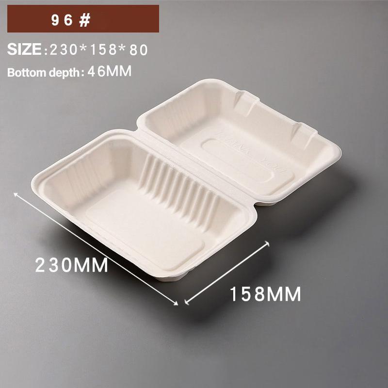Sugarcane Clamshell Food Boxes in Bulk Packs – Product View 4