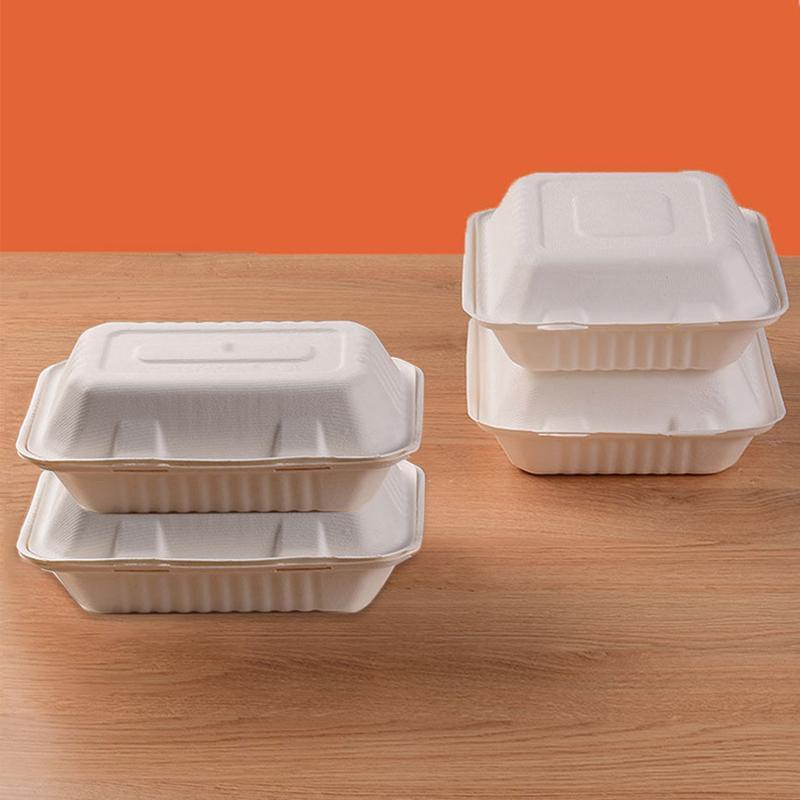 Sugarcane Clamshell Food Boxes in Bulk Packs – Product View 5