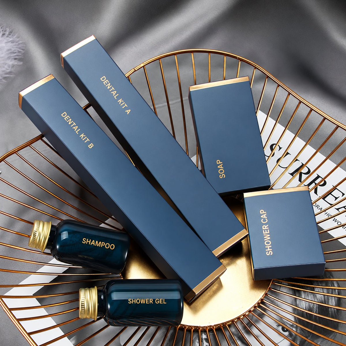 Custom branding reference – Landai Box Series – Range and packaging. Final design subject to quotation.