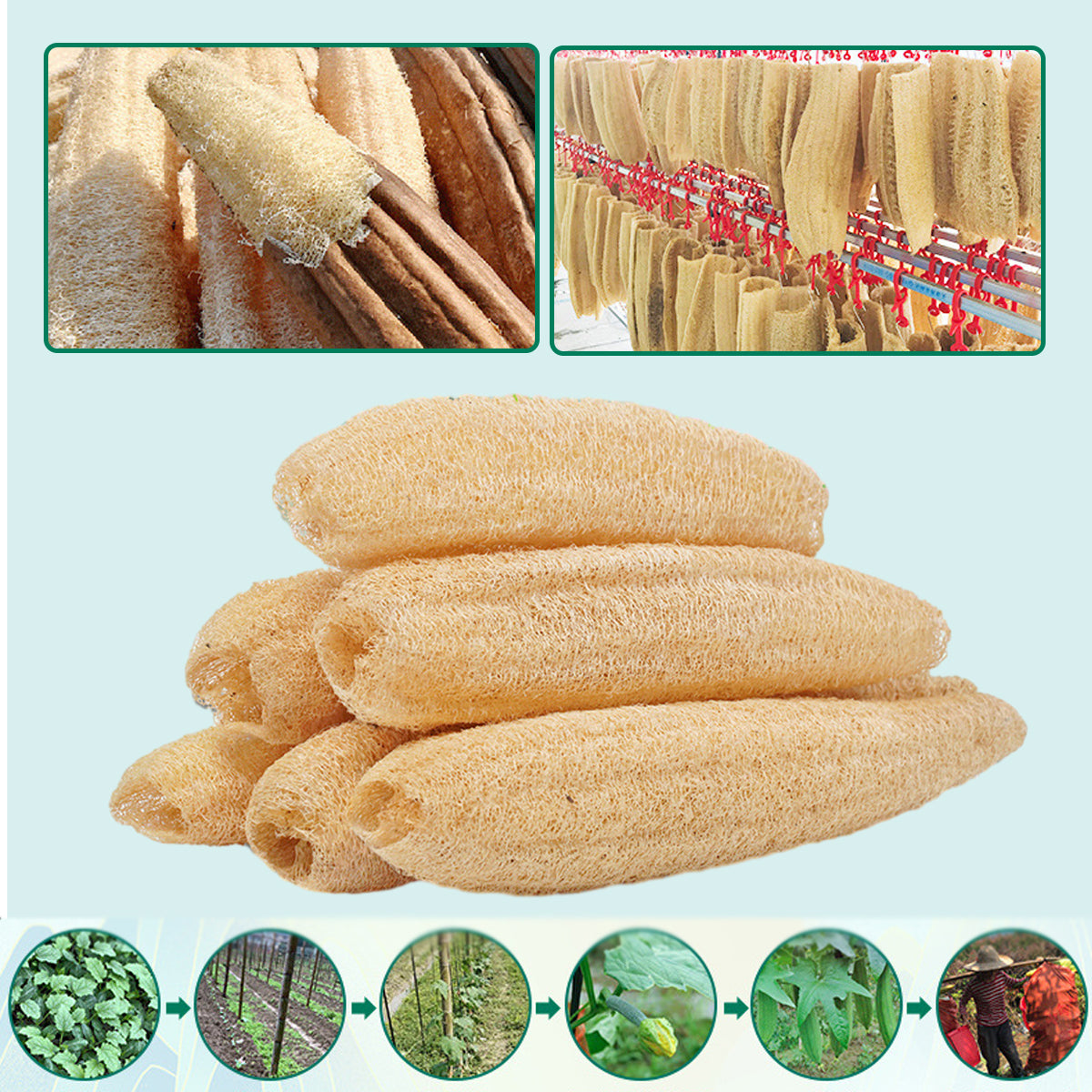 5Pcs Natural Loofah Luffa Loofa Exfoliating Shower Sponge Body Bath Scrubbers AU