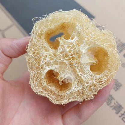 5Pcs Natural Loofah Luffa Loofa Exfoliating Shower Sponge Body Bath Scrubbers AU